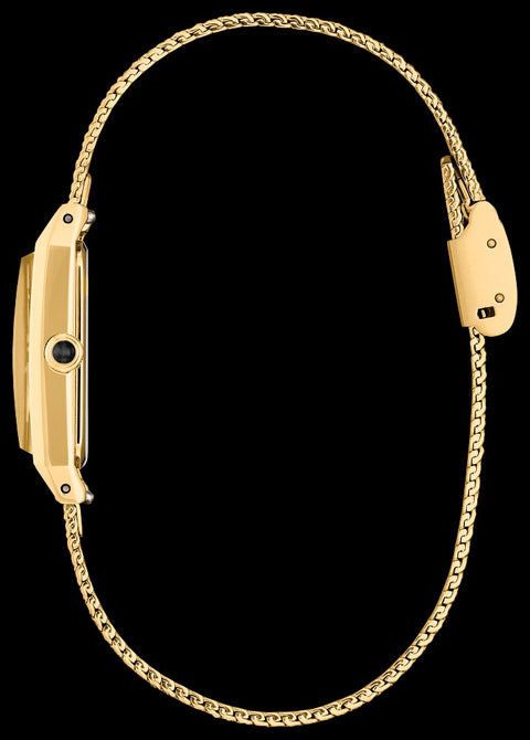 Ladies Citizen Eco Drive watch