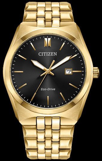 Citizen men's Eco Drive watch