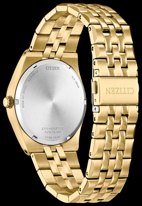 Citizen men's Eco Drive watch
