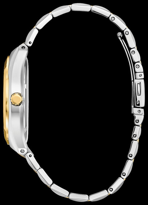 Citizen men's Eco Drive watch